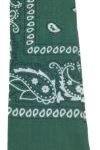 Bandana-158525-C
